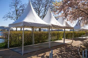 gazebo tensile structure